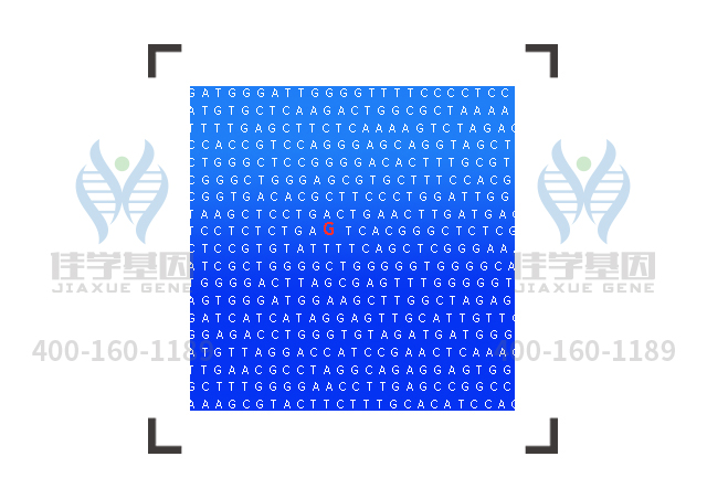 <b>【佳學(xué)基因檢測(cè)】哪兒可以做鰓-耳腎綜合征基因檢測(cè)？</b>